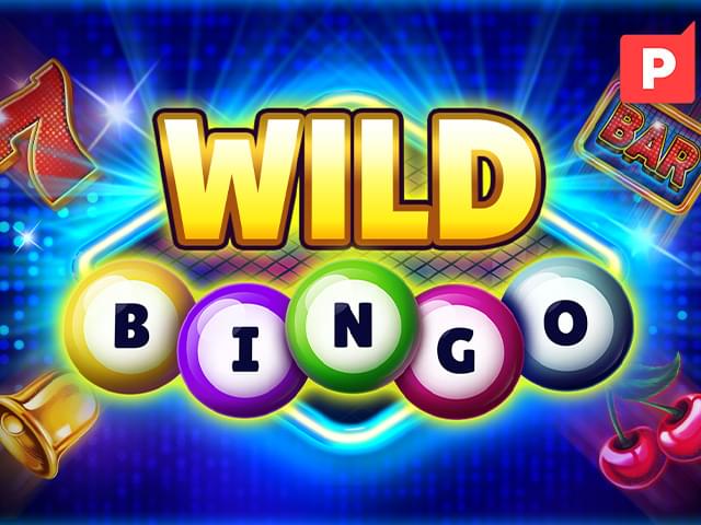 6655bet Bingo Selvagem